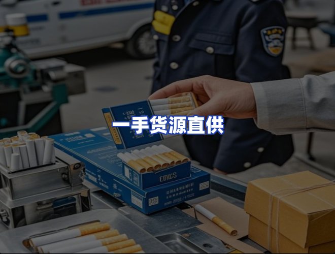 专业团队